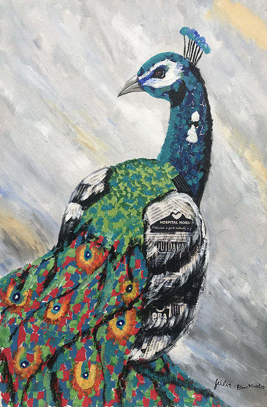 Pavo - 40 x 60 - Mista